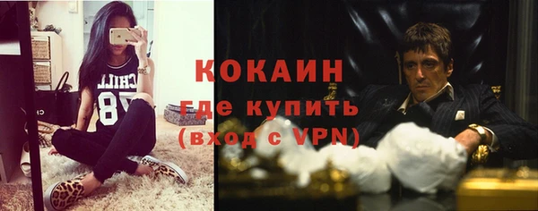 индика Алексин