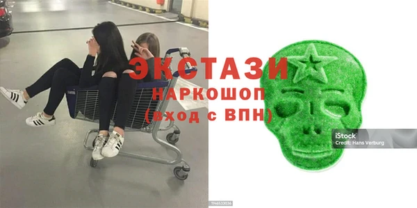 индика Алексин