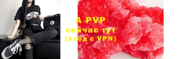 индика Алексин