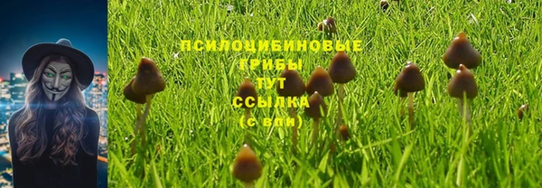 ПСИЛОЦИБИНОВЫЕ ГРИБЫ Алексеевка