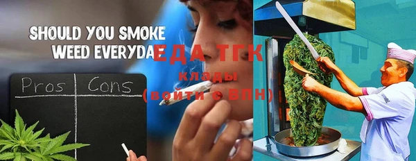индика Алексин