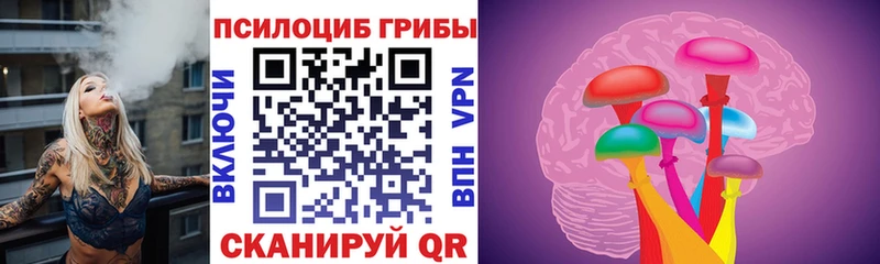 kraken ССЫЛКА Кореновск Псилоцибиновые грибы MAGIC MUSHROOMS
